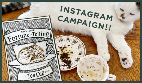 Cat's Fortune-Telling Tea Cup<div> Instagram Campaign!</div>