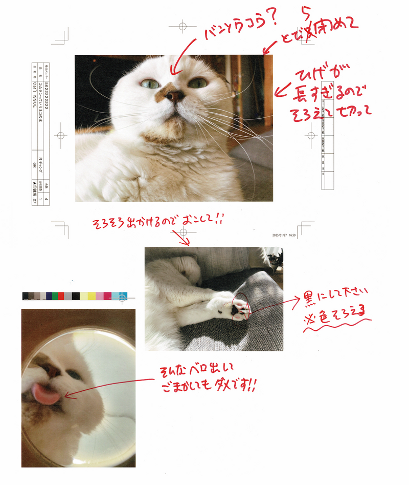 【予約販売（3月末お届け）】Cat’s ISSUE × 加賀美健「加賀美編集長の赤入れTシャツ」　表面プリント