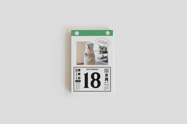 【先行予約】2026 Cat’s 日めくりカレンダー（予約特典付き）