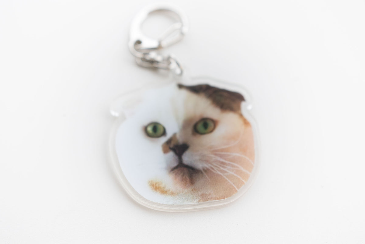 キャッツイシュー ホーロープレート 23cm 6点セット キャッツイシュー ホーロープレート 23cm 6点セット - メルカリ