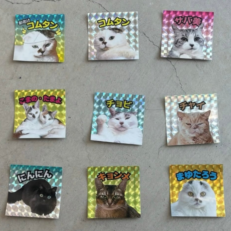 【先行予約】2026 Cat’s 日めくりカレンダー（予約特典付き）