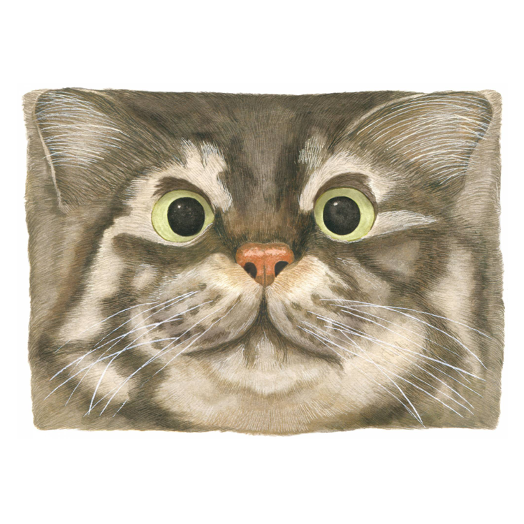 sp_top2_082f22ad-8cbb-45c8- sp_top2_082f22ad-8cbb-45c8-