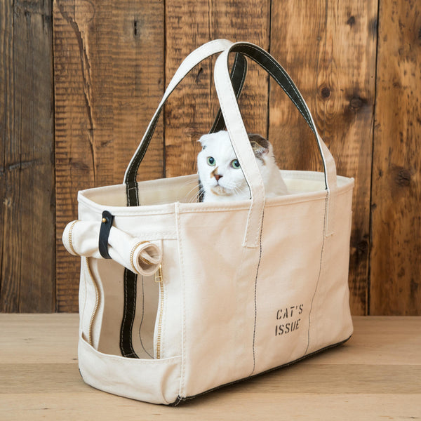 180816_catsissue_54675_600x600